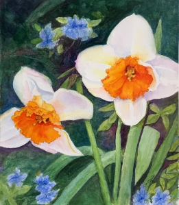 Phyllis Taylor Two Narcissi March 2016